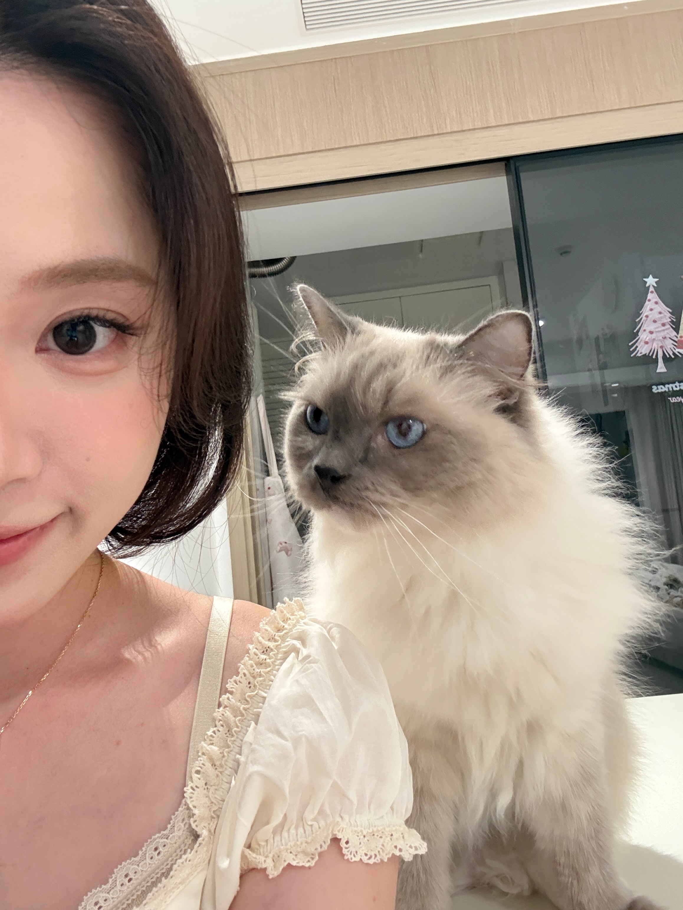 上一条抽奖不知为何卡bug这条再来一次  抽奖详情