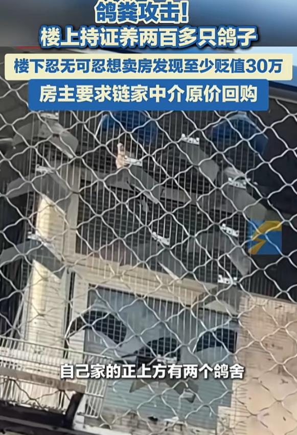 “太缺德了”，2025年，北京一男子花235万元买套房子，结果楼上邻居养了200