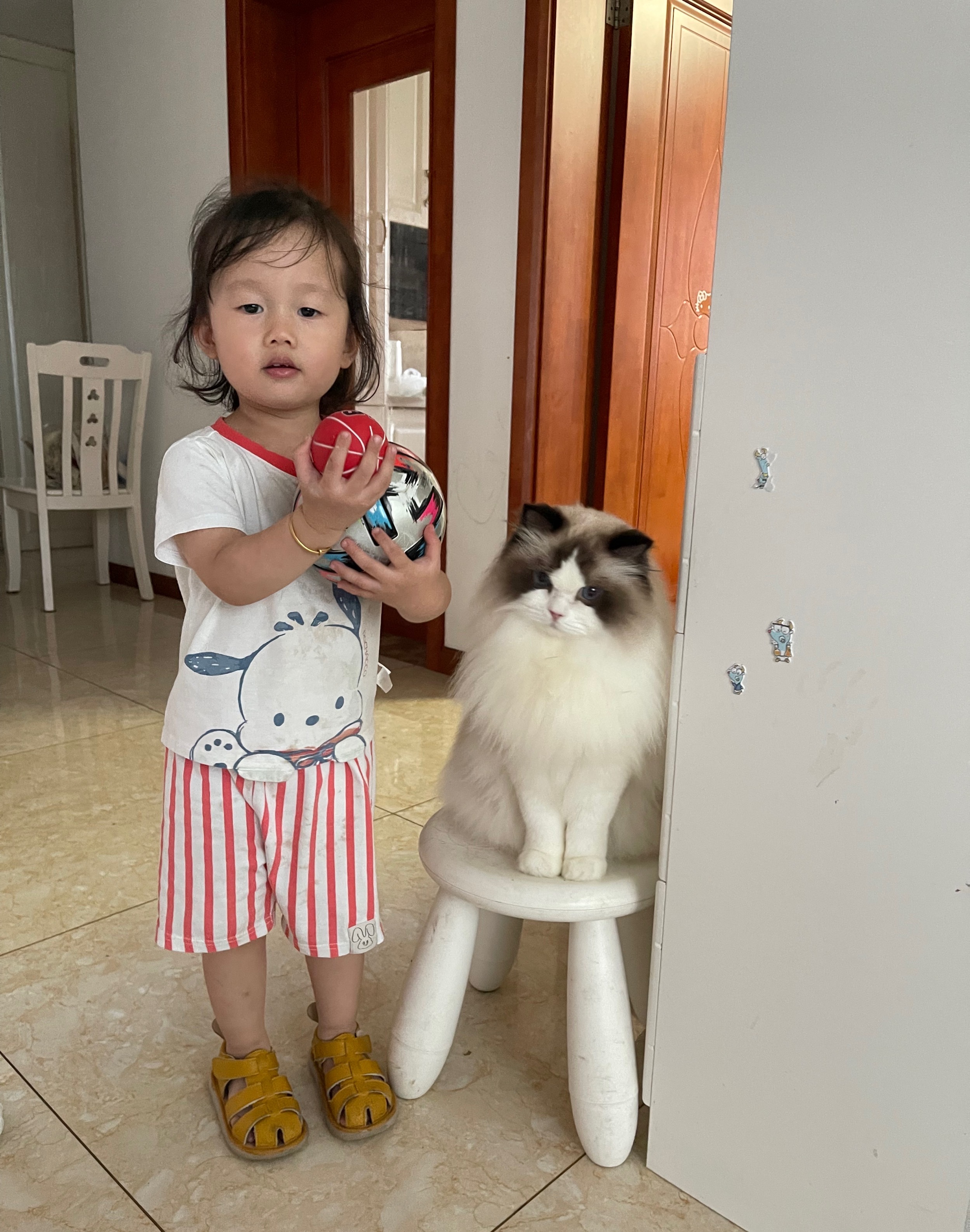 阿黛尔的退役生活真的好幸福，有小朋友的陪伴，有爸爸妈妈的宠爱，她是个极其喜欢人又