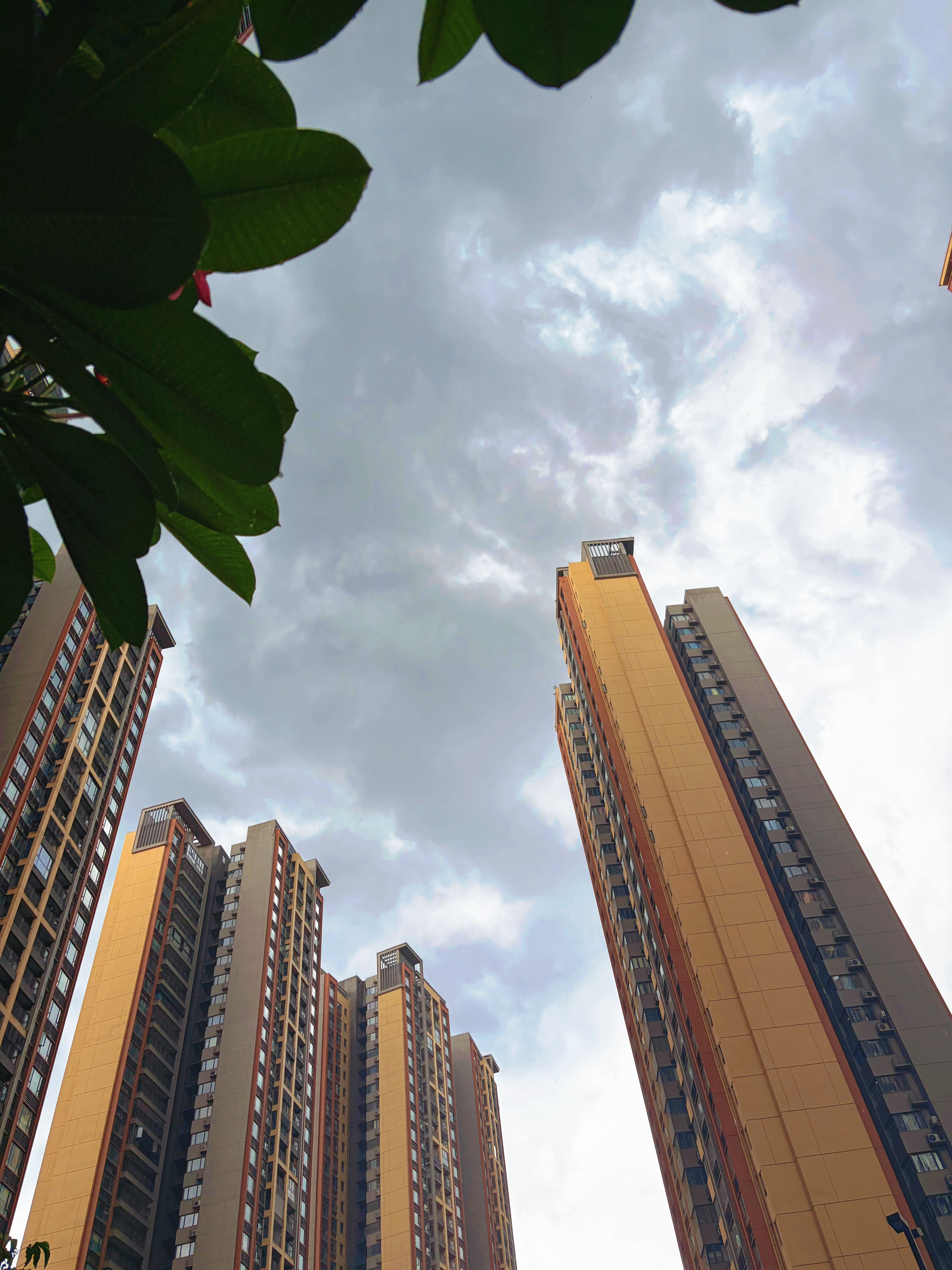 刚出去买东西屯粮，台风快来了～ 