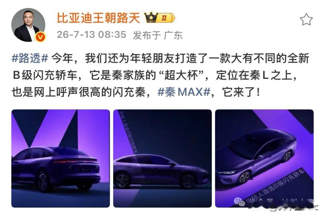 秦MAX，可能是今年发布的价格最便宜的，搭载比亚迪闪充技术的车型。预计定价12~