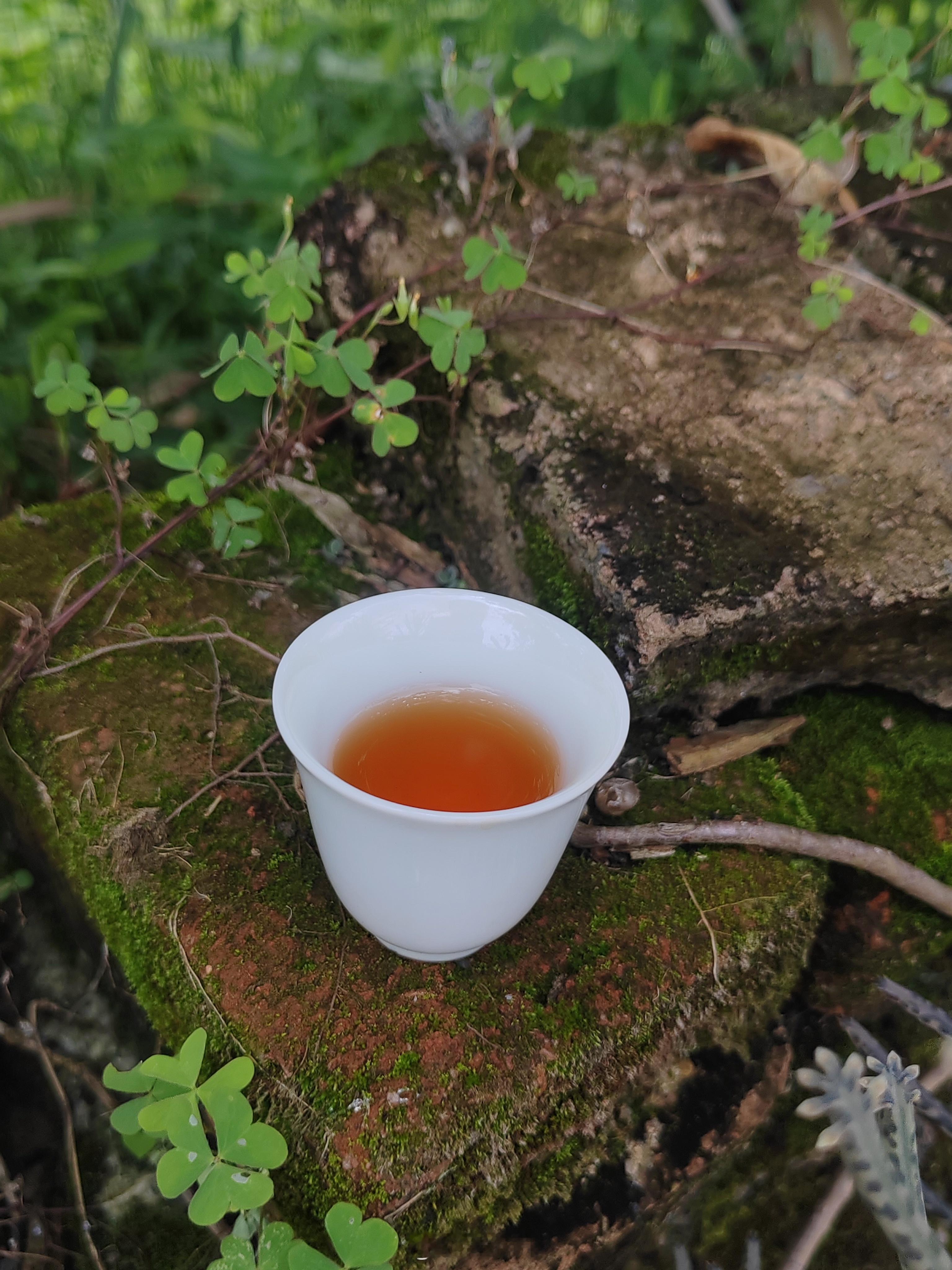 ‘吃透了火’的茶才有的神采。2016年老铁·足焙火茶叶常识