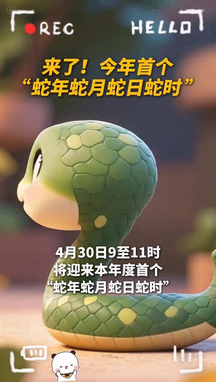 来了！今年首个
