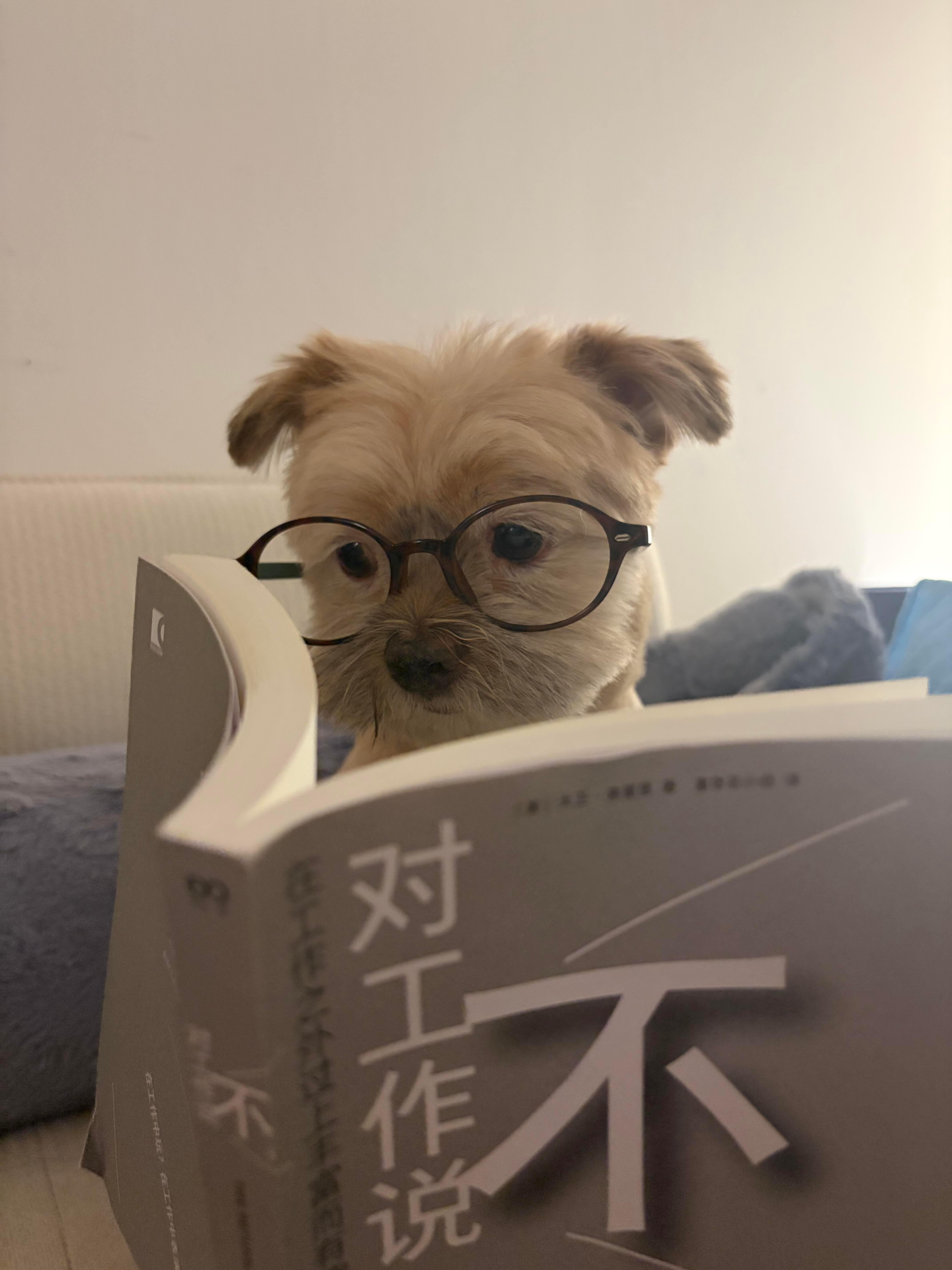 最后一天到底都还有谁在上班啊！ ​​​