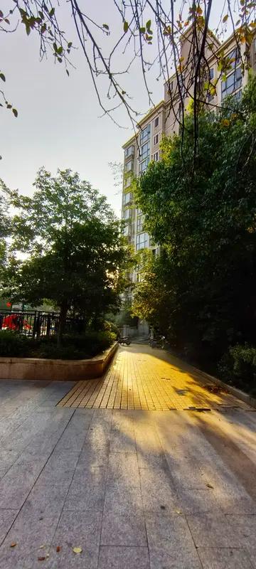 上联：昨夜狂风暴雨，诚邀君赐下联晨起风和日丽