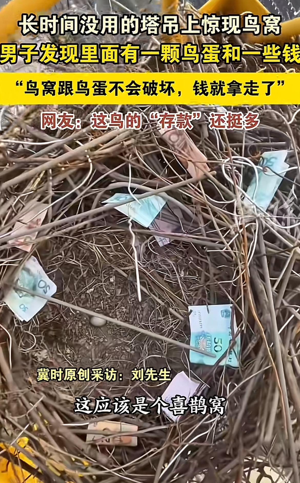 陕西西安一长时间没用的塔吊上，居然有个喜鹊窝，里面不光有鸟蛋，还有不少钱！发现的