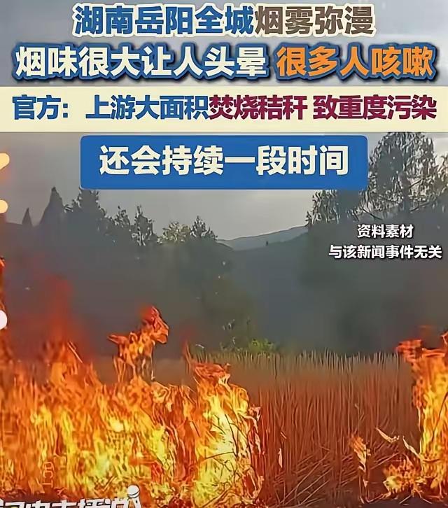 岳阳烧秸秆全城冒烟，大家居然不骂还支持。原因是不烧虫子除不干净，农药越用越多，粮