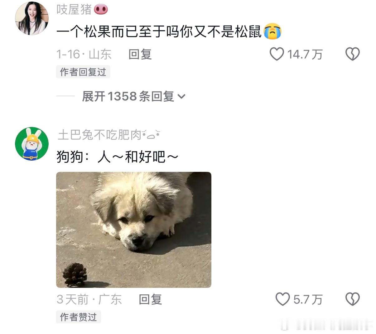 小狗都知道用实际行动来道歉小狗不会说话但小狗爱你！ 