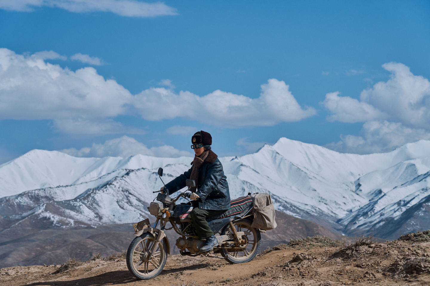 杨紫生命树演技眼技全方位大赏就这个生命树爽了就这个生命树爽了，杨紫生命树演技眼技