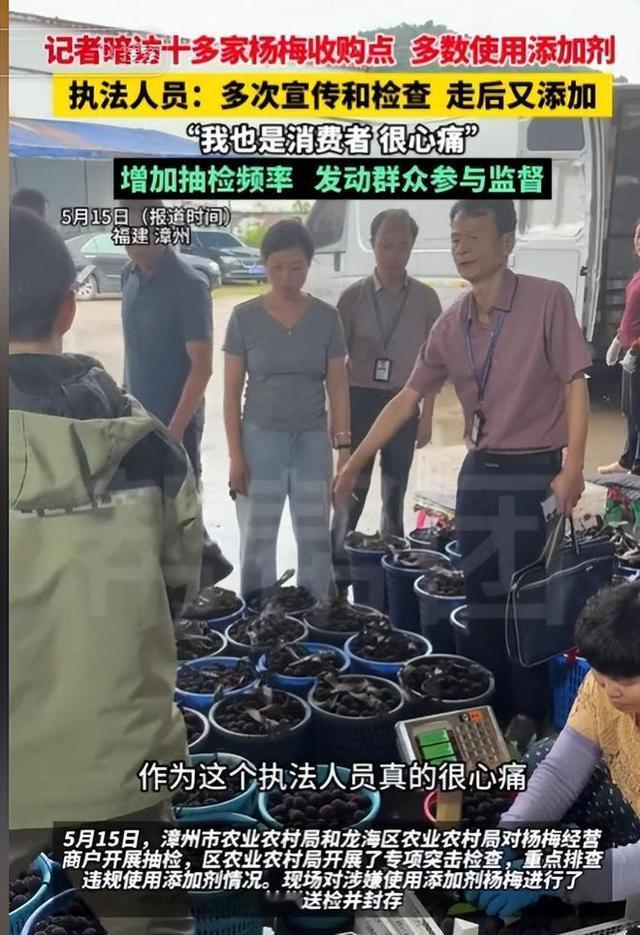泡药杨梅问题曝光后，引发市场广泛关注。为保障消费者权益、坚守经营底线，多地涉事商