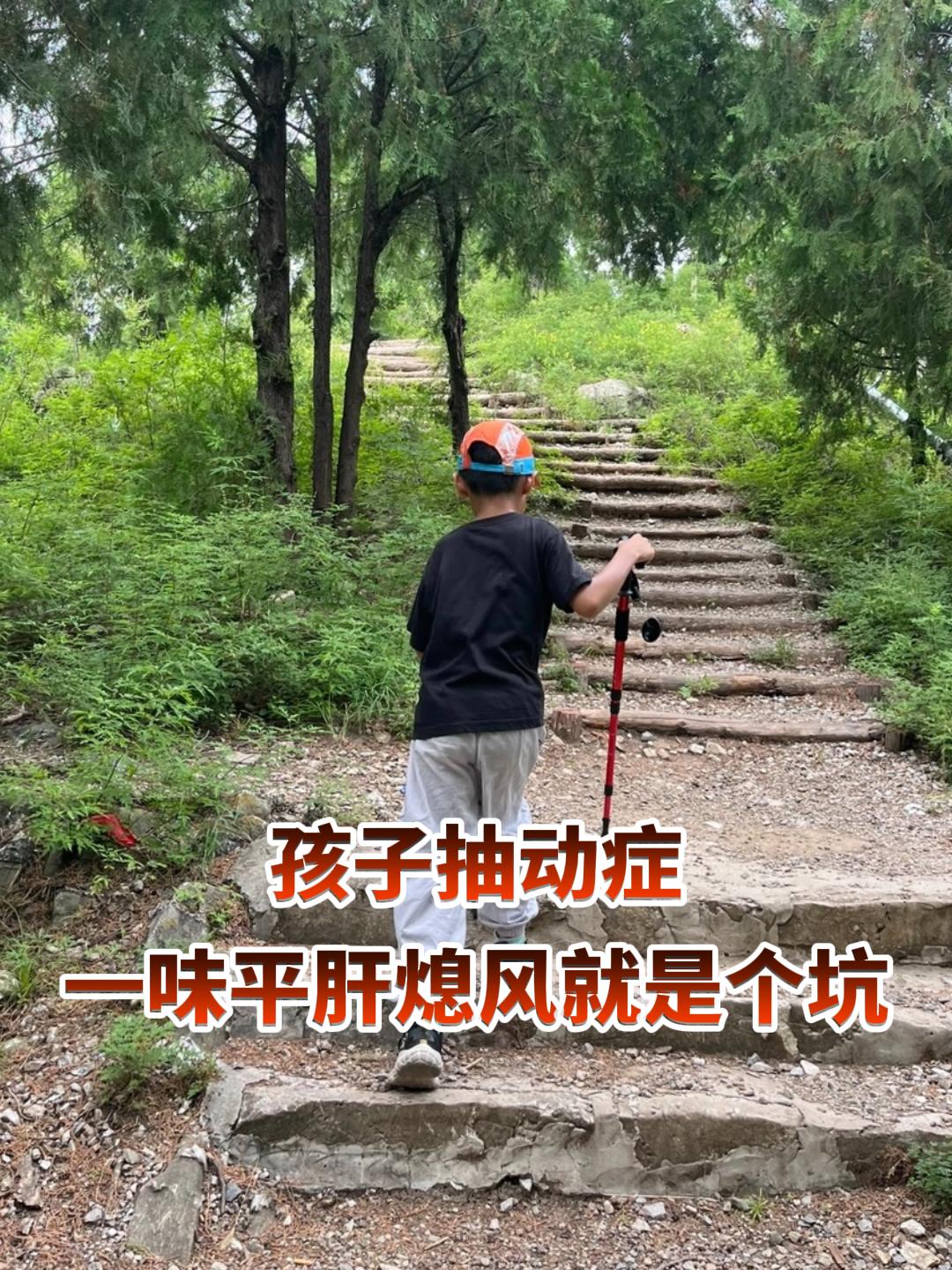 孩子抽动症，一味平肝熄风就是个坑 我刚毕业时，我的老师就告诉我：单一的...
