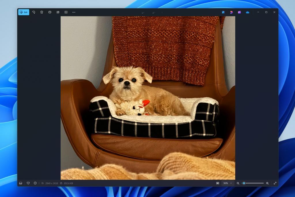 Windows 的内置照片应用体验再次得到升级，新体验主要围绕照片查看器性能和功