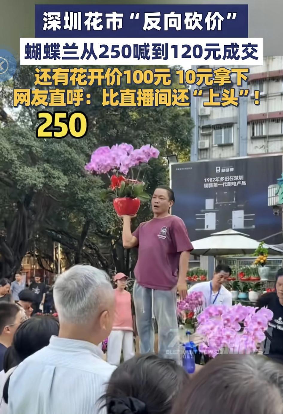 深圳蛇口花市商家反向砍价的拍卖模式引发了现场观众和网友们的关注。现场有不少的蝴蝶