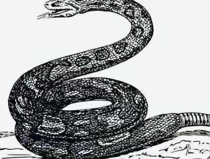 古时，一男子去赴宴途中，见一母蛇难产，当即决定为母蛇接生。可母蛇生下小蛇后，竟然