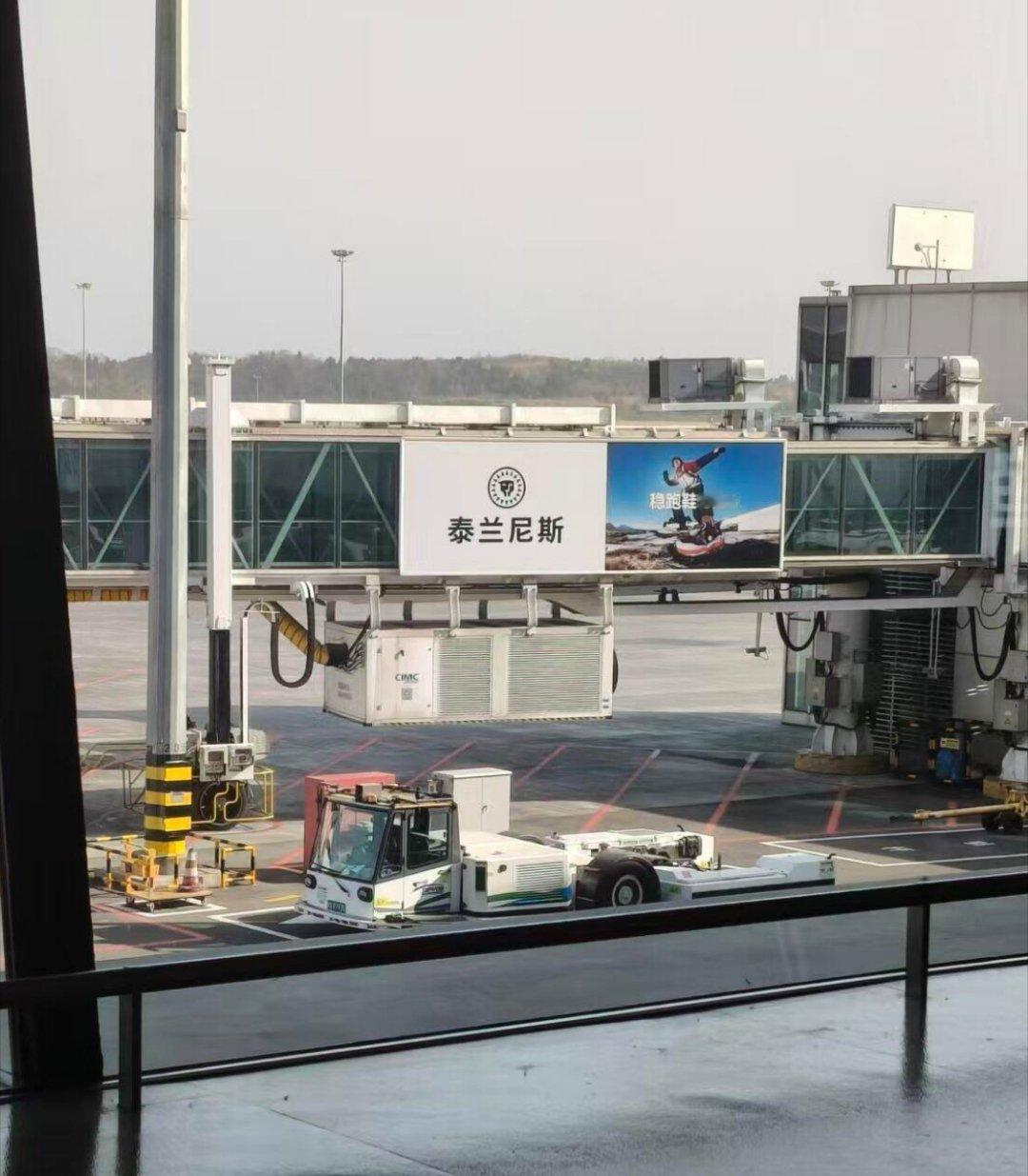 泰兰尼斯被曝千元童鞋成本仅37元这玩意儿机场火车站全是它的广告，横🈳出来的品牌