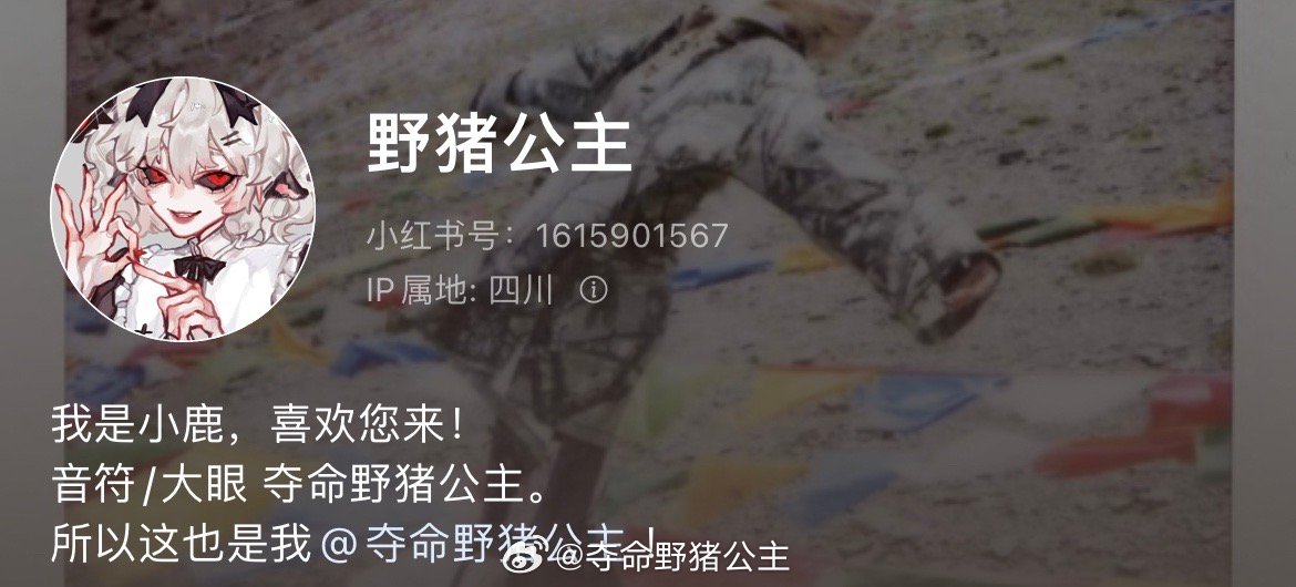 ＝鹿。le。♂私信勿扰。不混圈，低素质温柔人类。画画东西搞搞COS拍拍创作。✨盗
