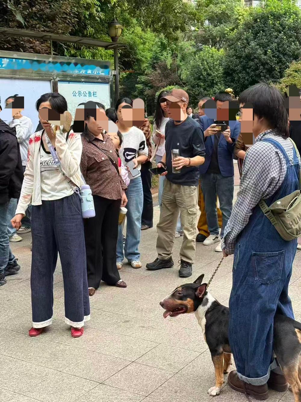 眉山9.12日牛头梗（狗）咬女伤童，今天无意中看到照片，瞬间毛骨悚然、汗毛倒立。