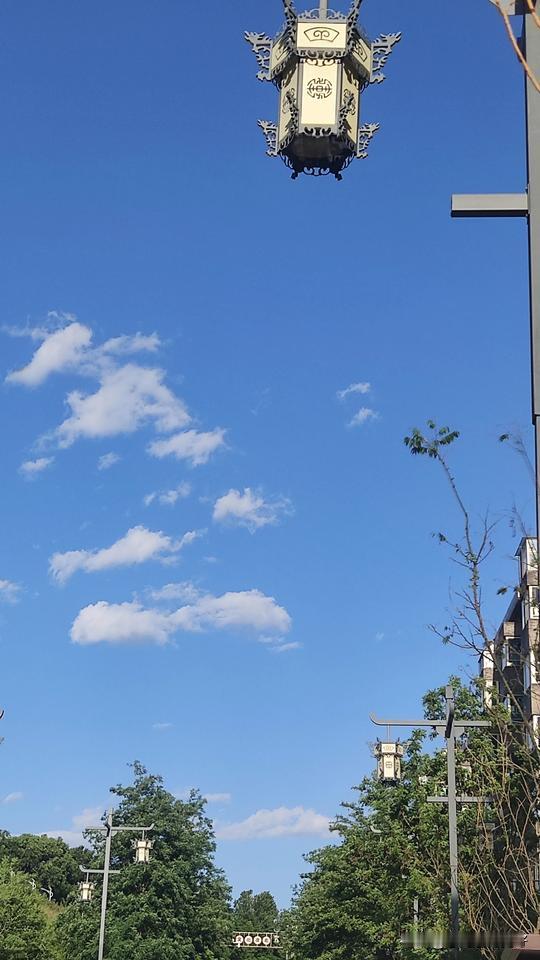 我的小号检测到了限流了！需要发布高质量，内容丰富的文章。

内容丰富的文章好久没