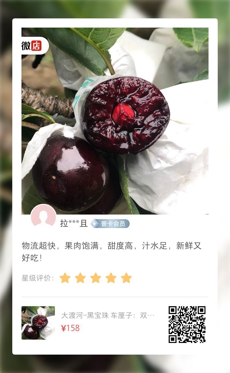 🦕 美好体面的端午节庆礼物🦕 刷新感官的“活着感”风物 