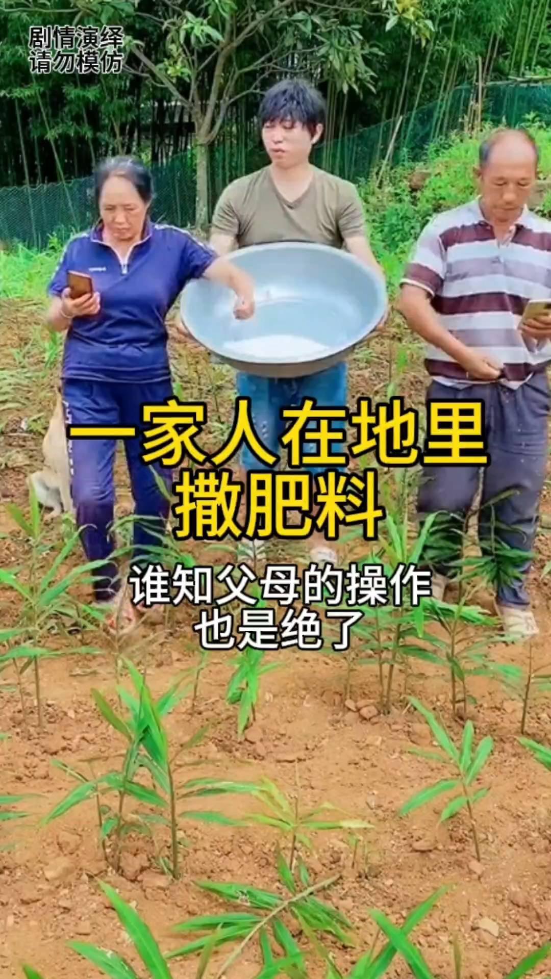 一家人在地里撒肥料，谁知父母的操作也是绝了。
一家人在地里撒肥料，只见儿子抱着大