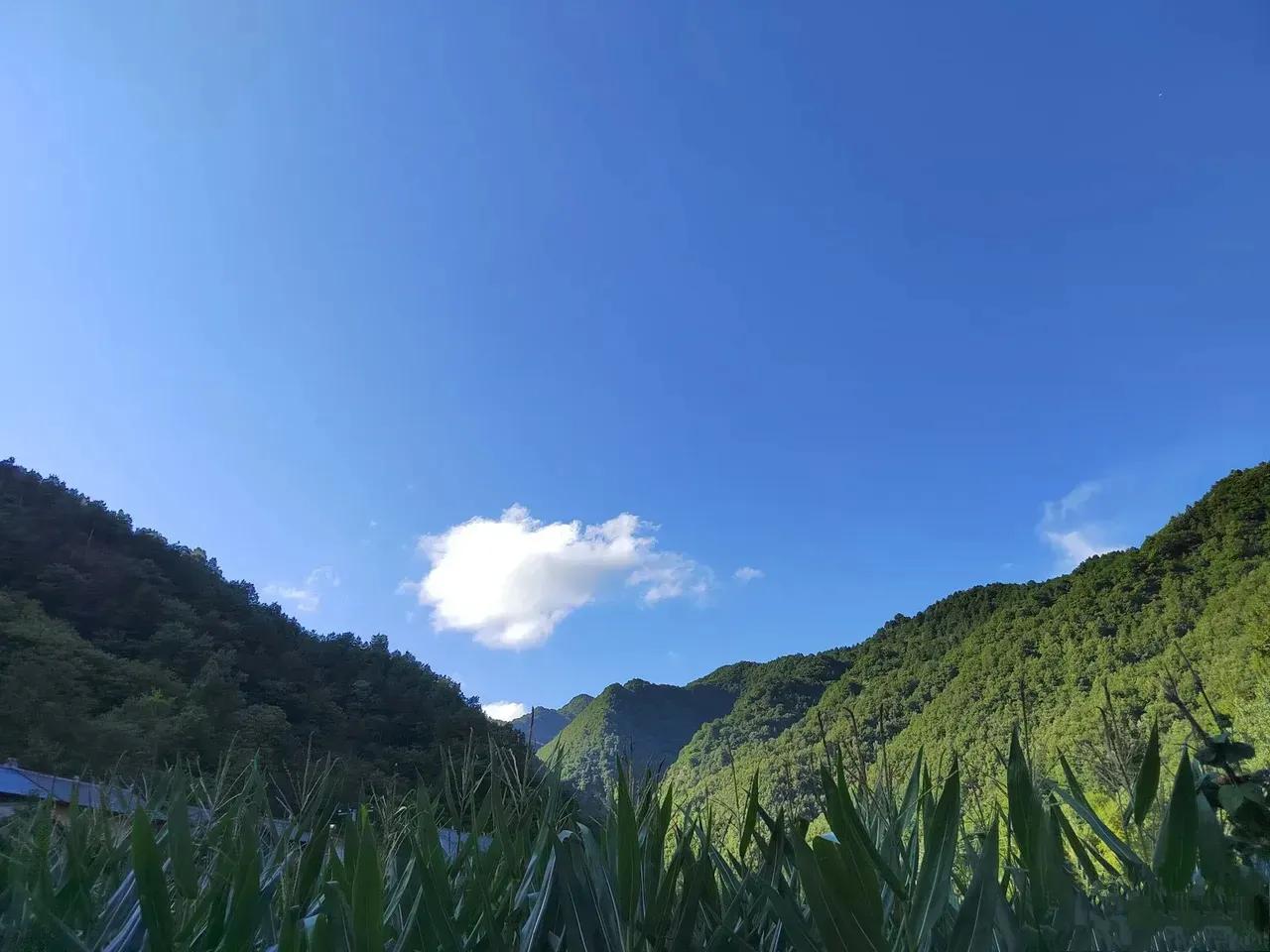 《清乐翁赋》

时维九月，序属三秋。观清乐之翁，独守其悠。处山野之僻，心无所忧。