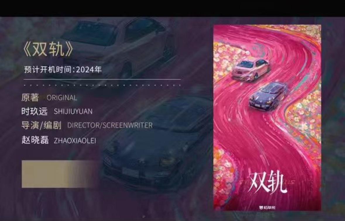 电视剧《双轨》概念海报出品、制作：稻草熊原著：时玖远导演、编剧：赵晓磊《夏花》《