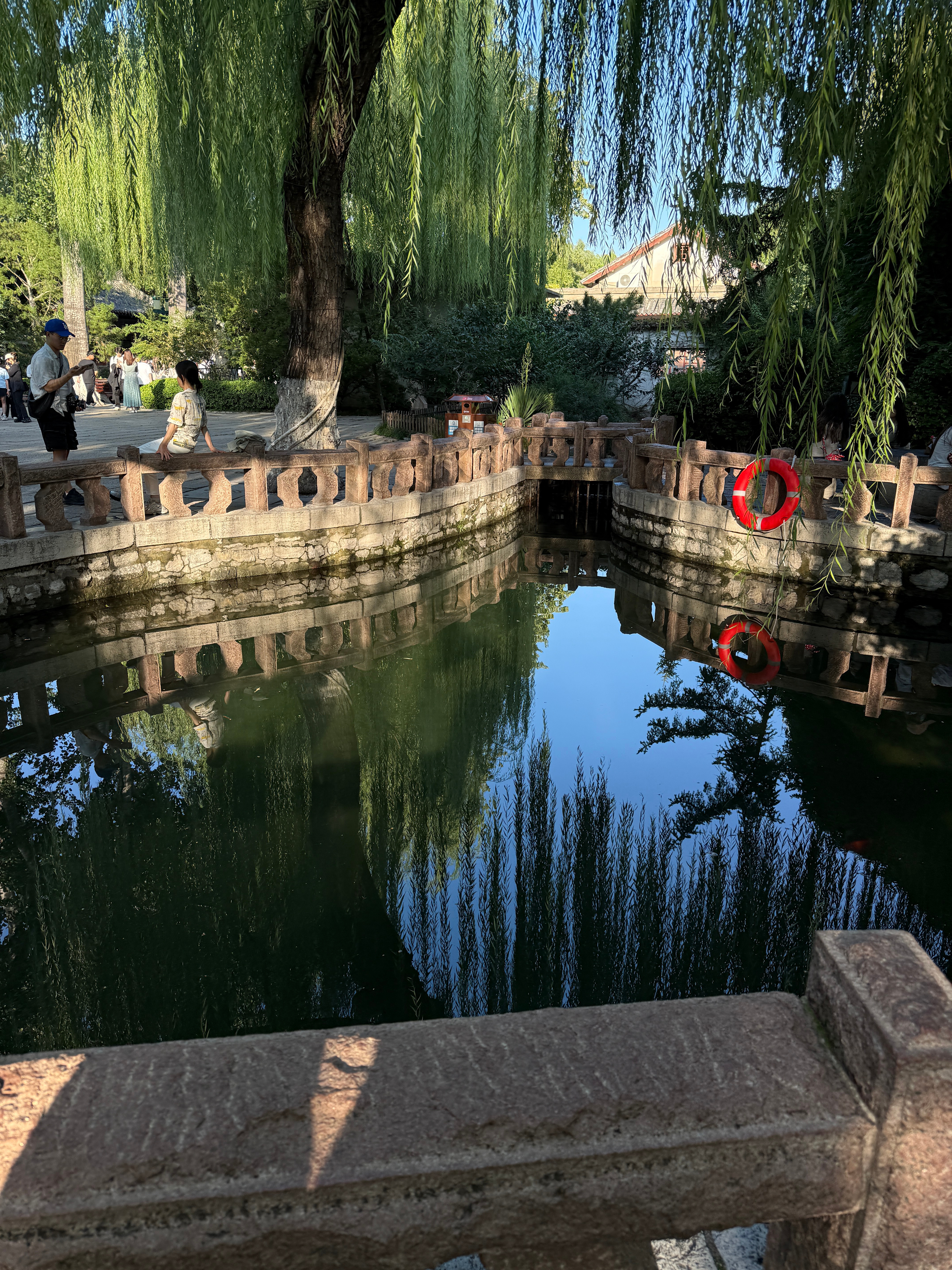 分享图片  ​​​