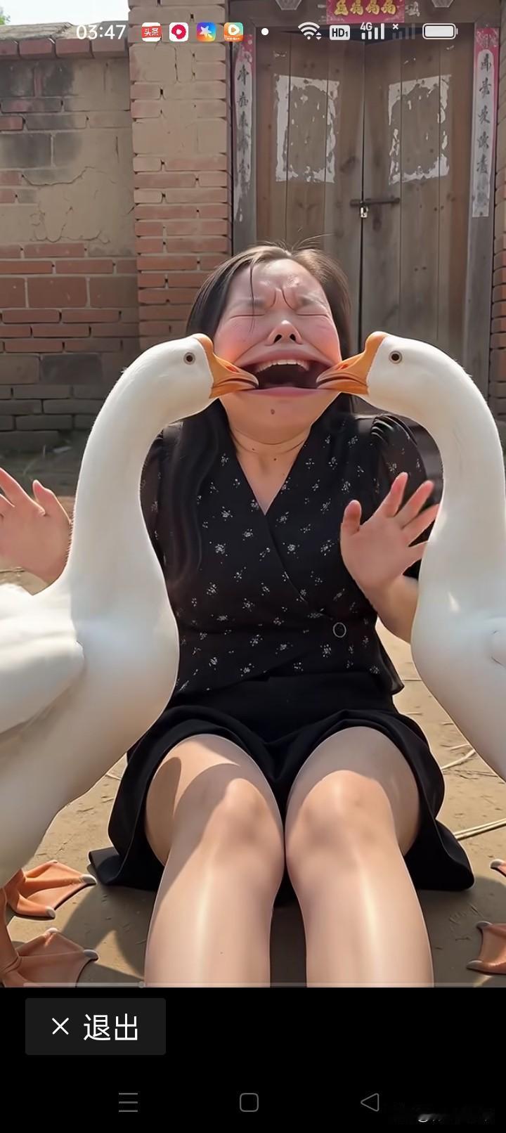 没事别招惹大鹅！大姐招惹两只大白鹅，嘴巴直接被两边叼住