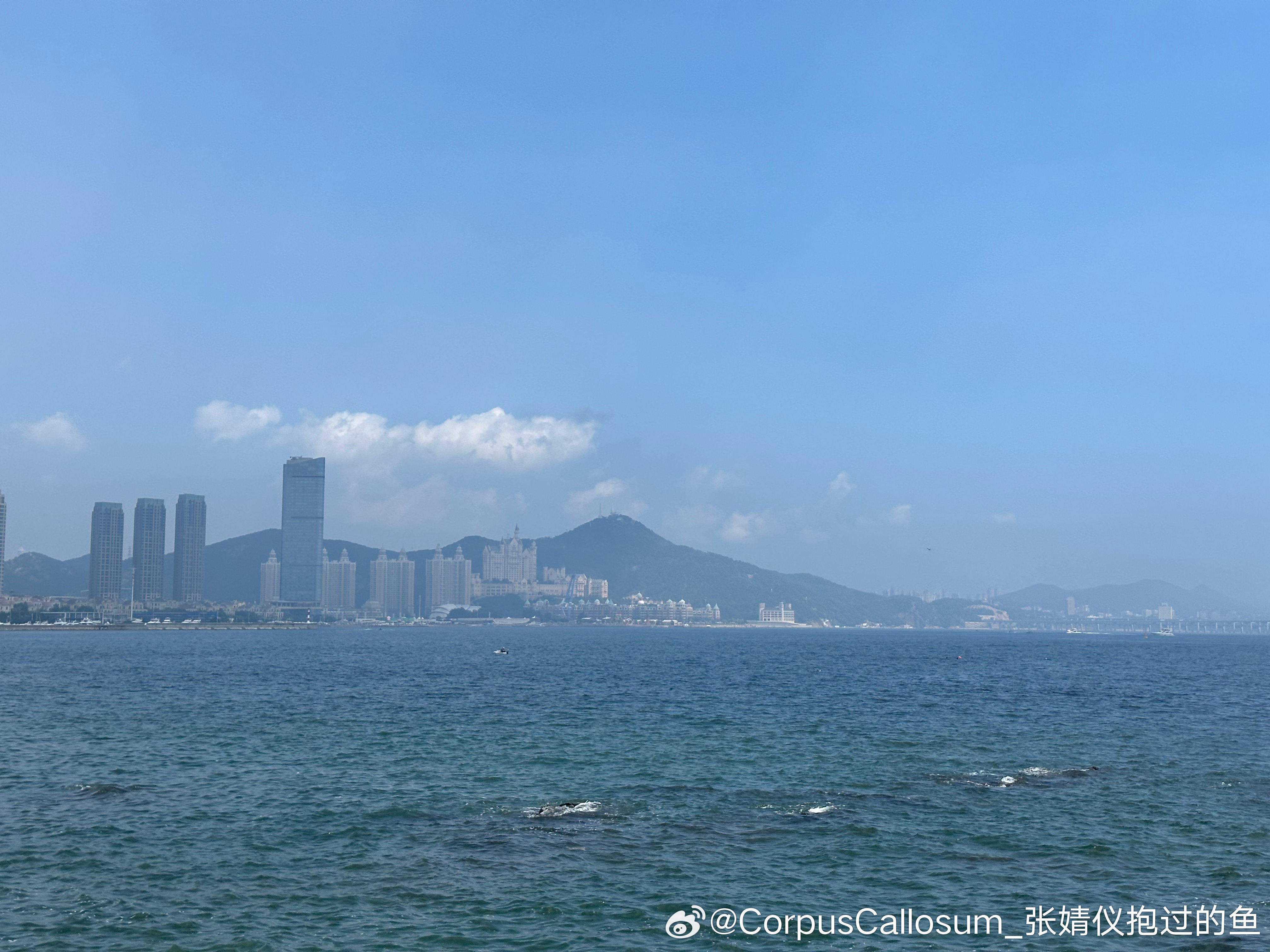 张婧仪  仪日分享 地球偶尔太大去练习，沙滩上海浪留下痕迹～ 