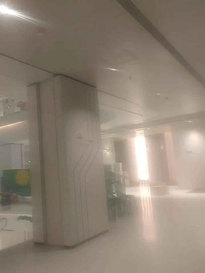 拍照打卡，是对真实生活的温柔记录
 
如今走到哪里，都能看到人们忙着拍照打卡：街