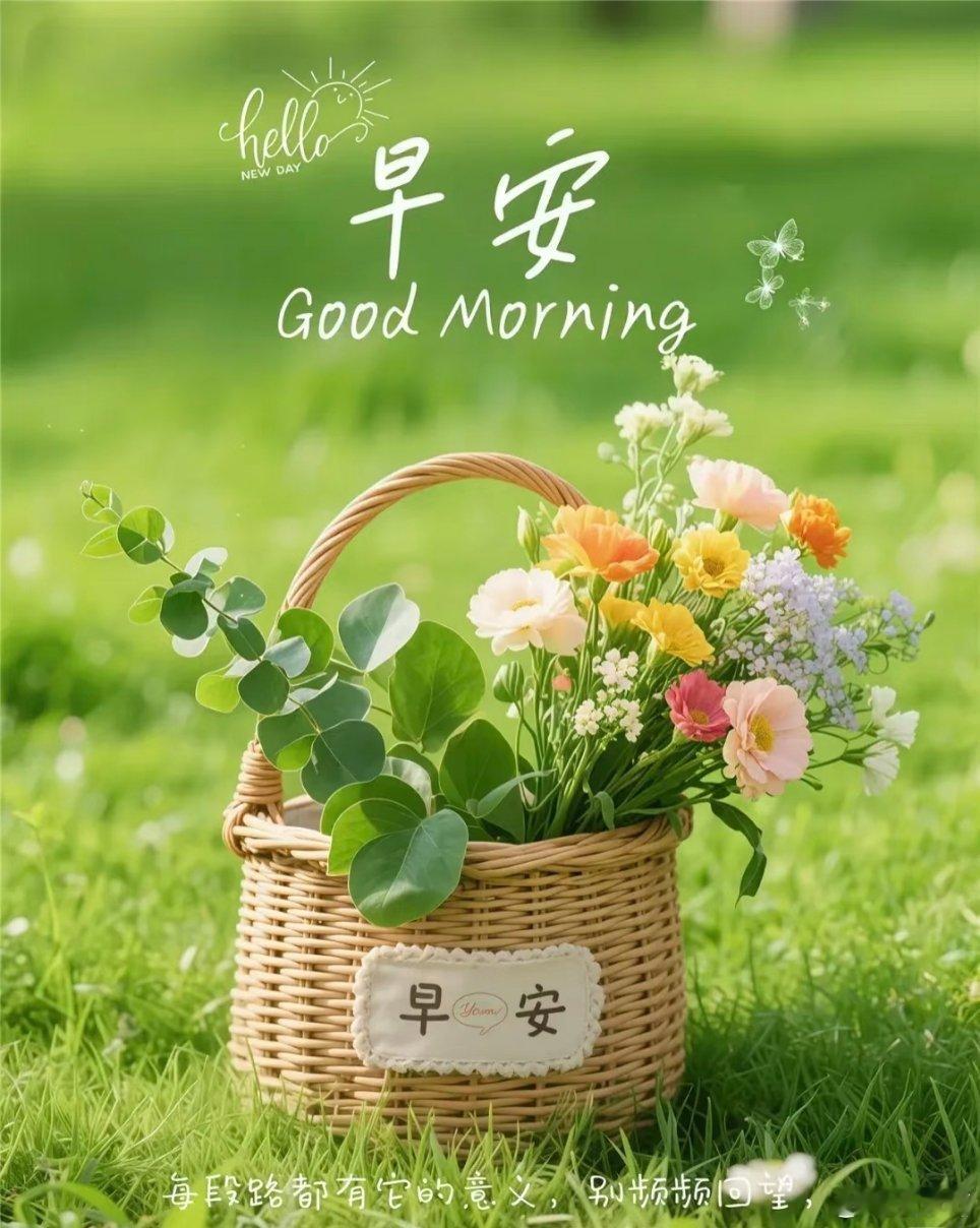 早安[超话]早安 🔆𝒩ℯ𝓌 𝒟𝒶𝓎  '͜ ' ”🌸“晨起推窗，与