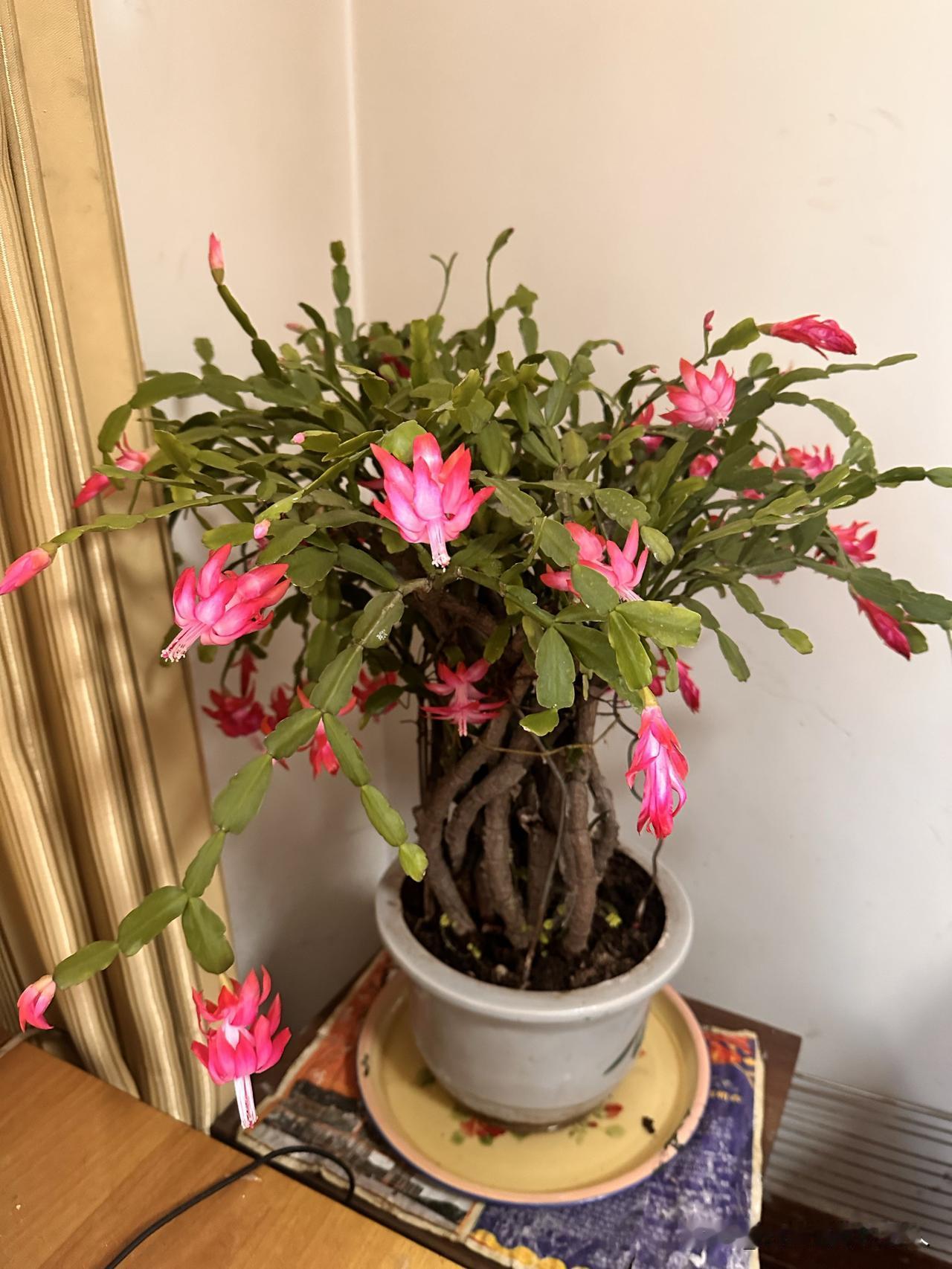 自己的孩子
别人的老婆
都是最好的
孩子是自己的最好
老婆是别人的最好
人就是这