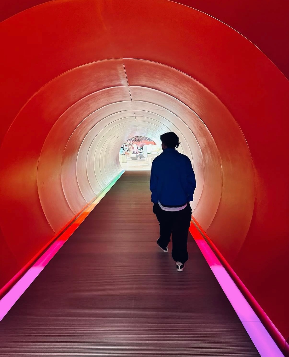 苏翊鸣接住开幕式最美雪花【全能偶像苏翊鸣～雪山之巅的环保先锋、语言学霸和摄影大师