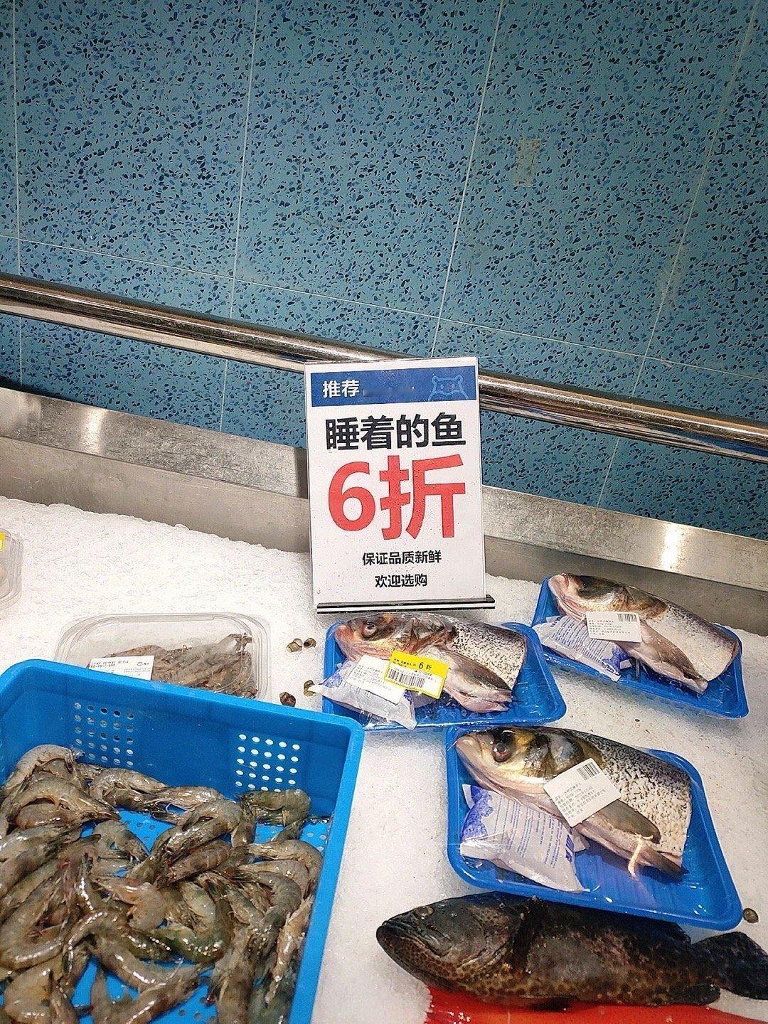 这叫分家的鱼🐟 