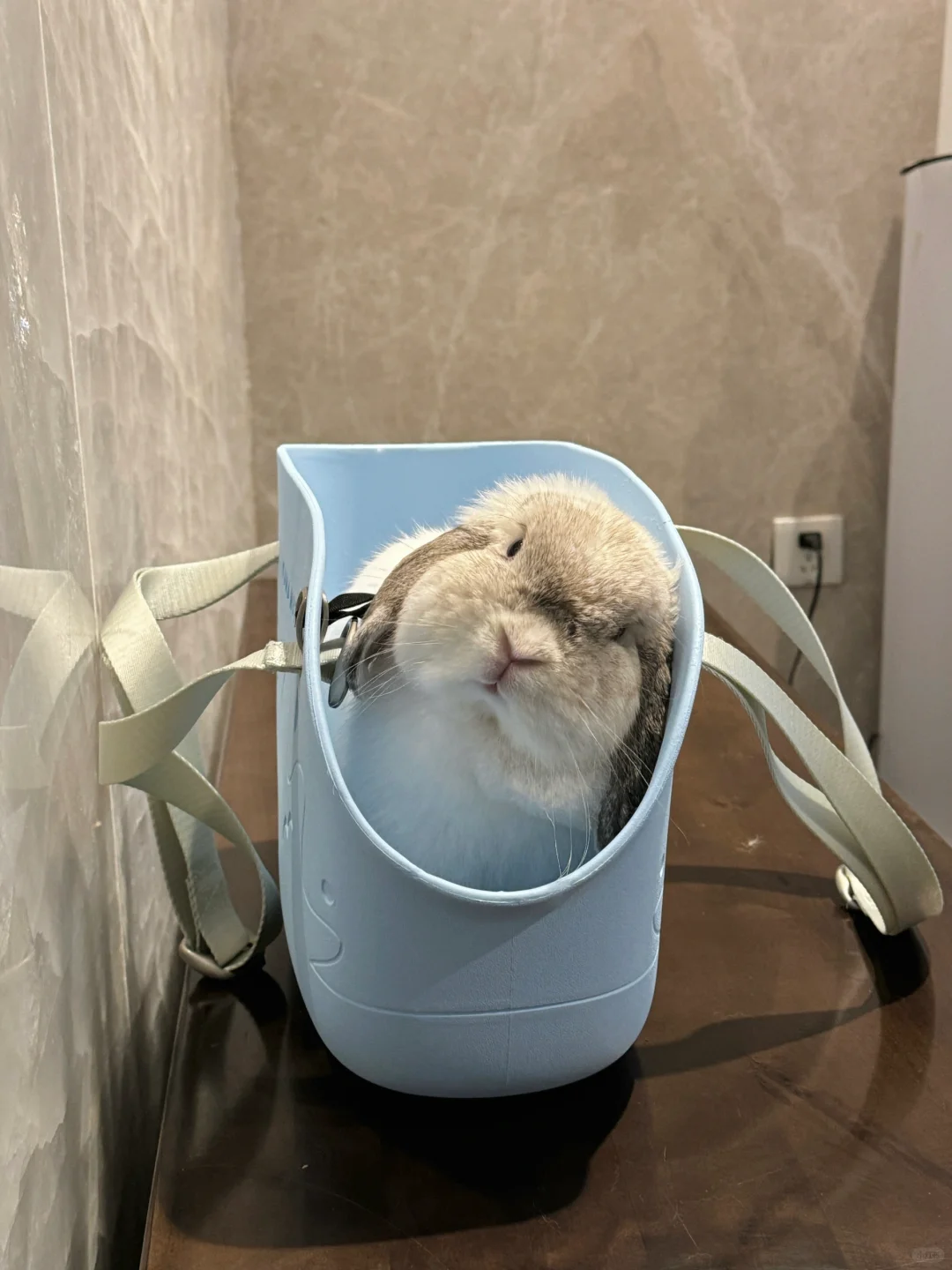 这是哪家的宝宝还没被家长接走呀