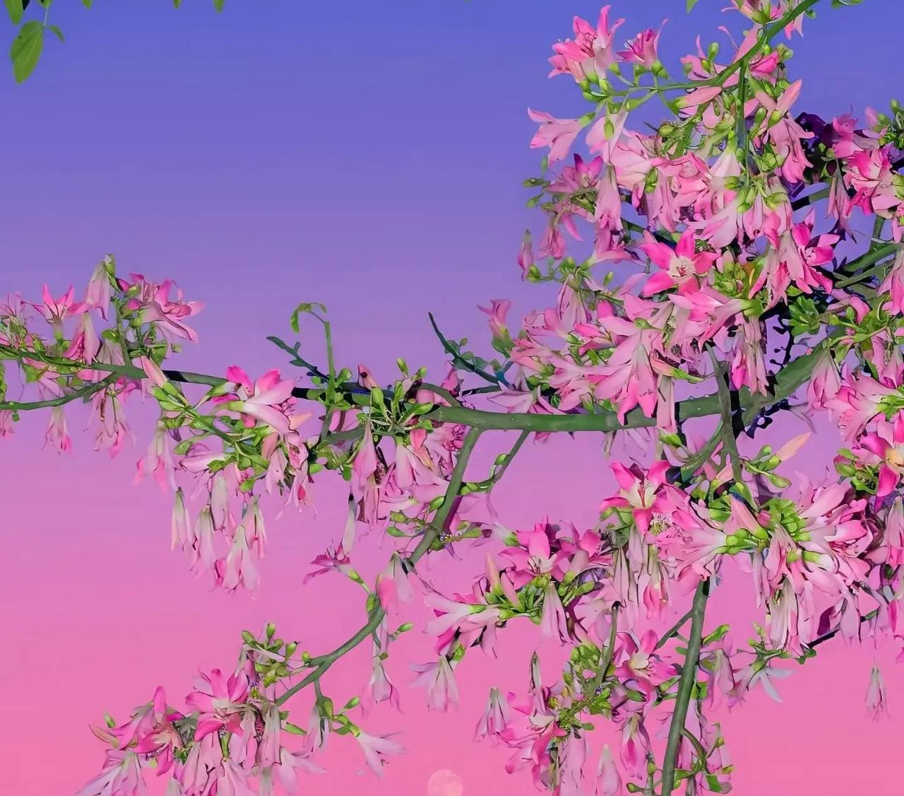 感情里最扎心的真相，往往藏在一个小红包里。

2026年情侣分手潮里，钱成了头号