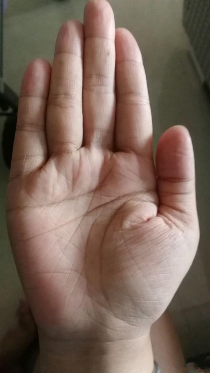 适合多折腾的手；掌心纹路杂乱，但智慧线格外清晰。很多人觉得掌心杂文多是劳碌，其实