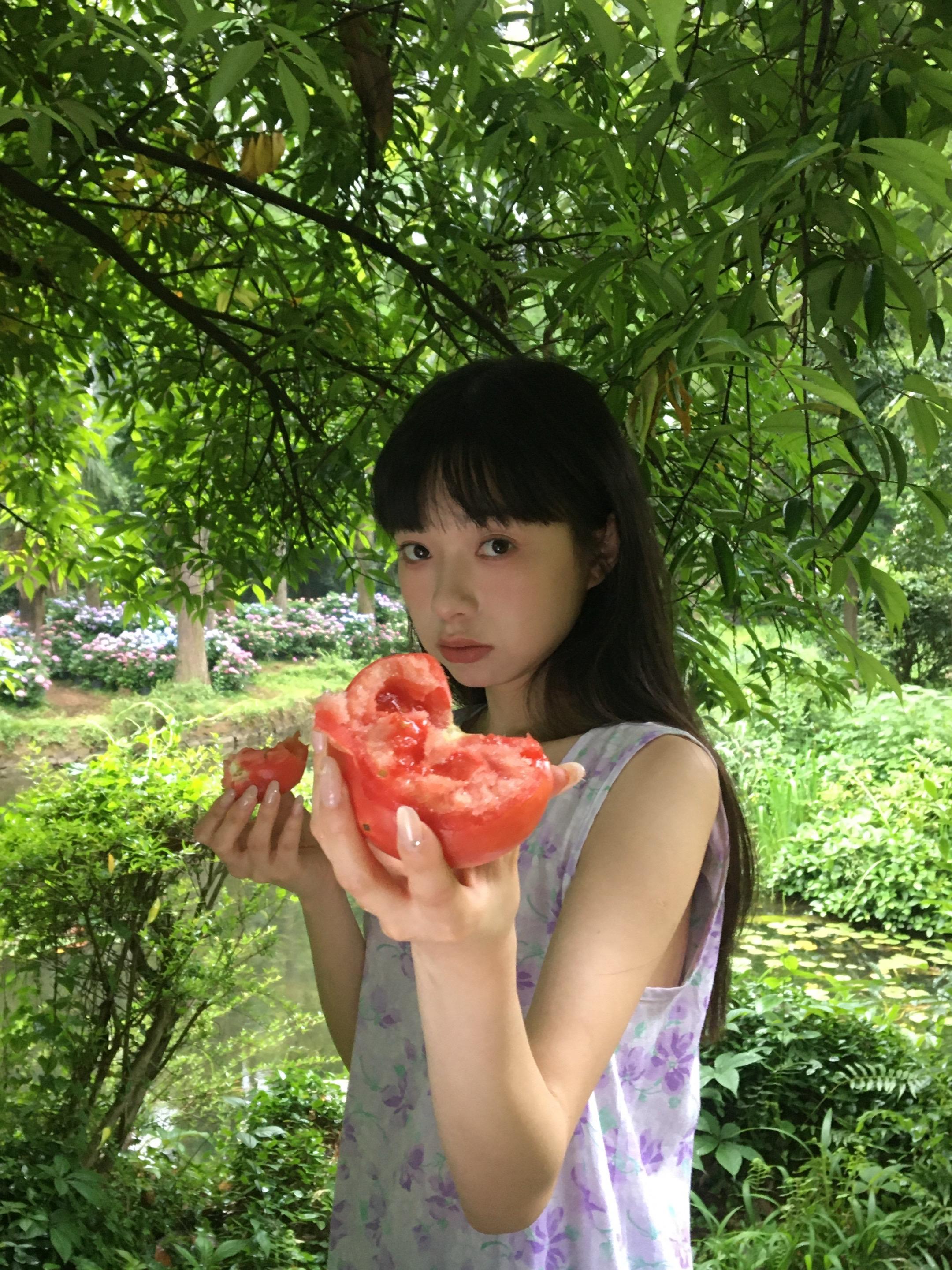 在夏天我们吃番茄🍅