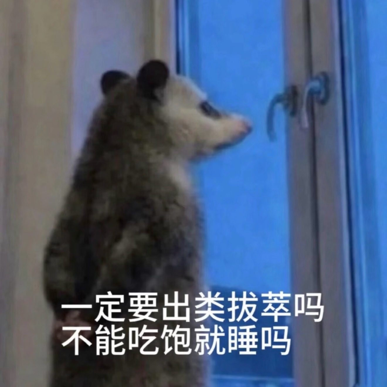 学信网查不到中专学历，在我印象里中专等同于高中来的，中专不是还可以升大专嘛？学信