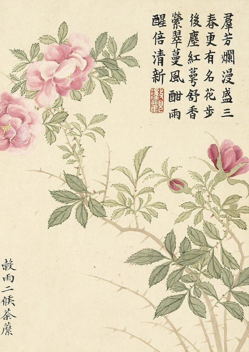 《二十四番花信风图》，画面干净清心，让人爱不释手！