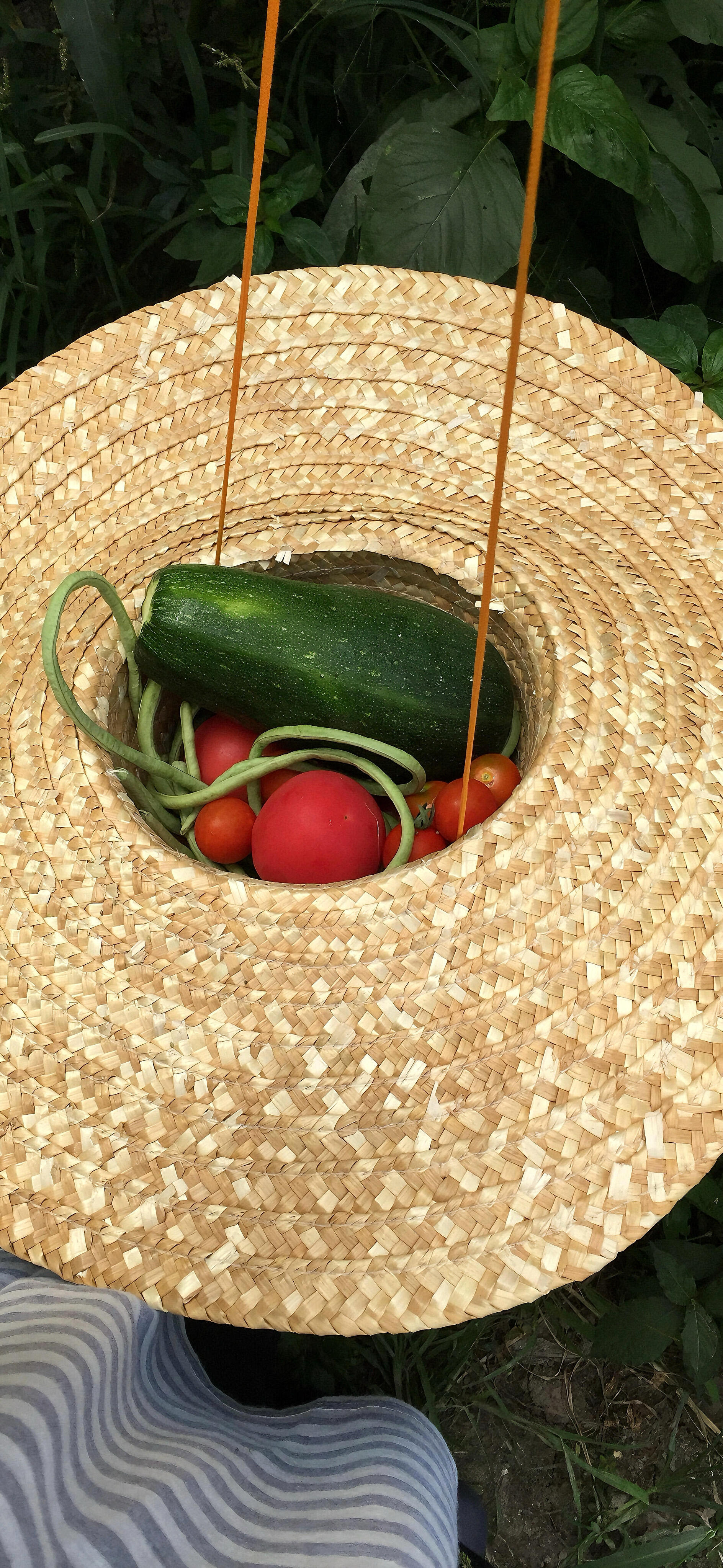 壁纸推荐美食壁纸‖全屏壁纸‖高清壁纸‖食物壁纸是不是所有事情都要等不在意了，它才