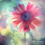 暖露爱说科技