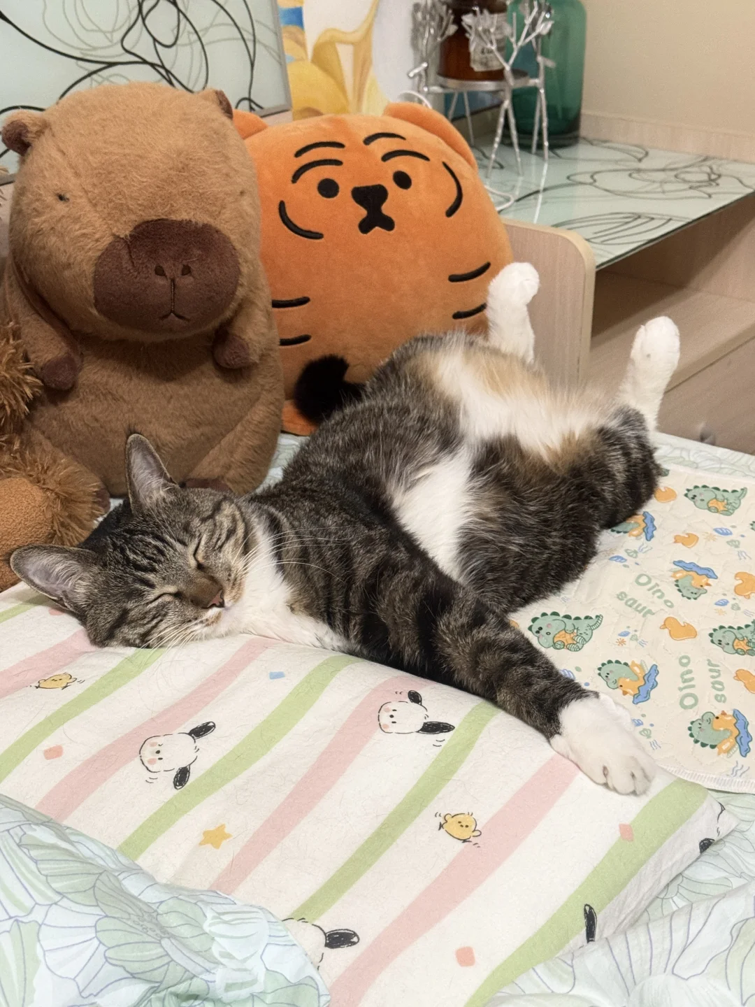 陪睡员开启了扭猫模式