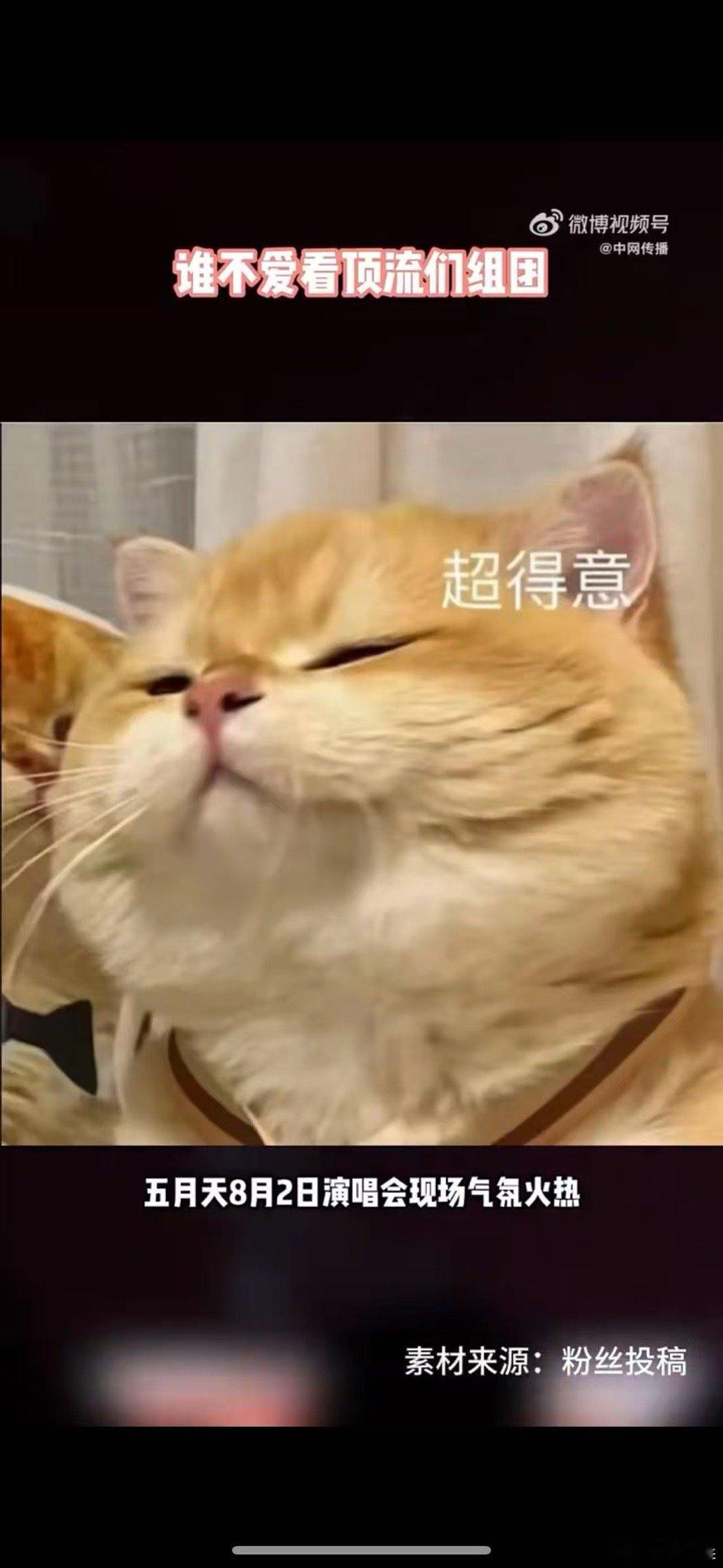 谁不爱看顶流组团 汪苏泷在五月天演唱会上改词的小插曲，反而成了亮点，既展现了应变