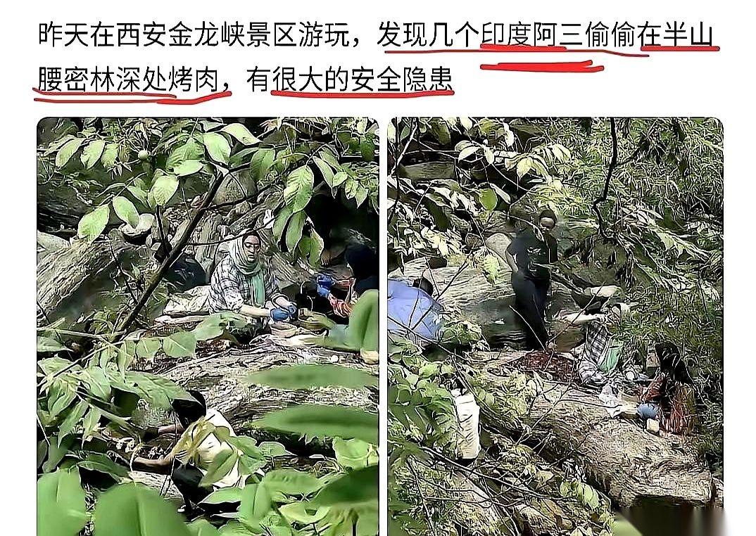 半米高的火苗子，就在秦岭腹地的老林子里直往上窜。
脚底下全是干透的枯枝败叶，这几
