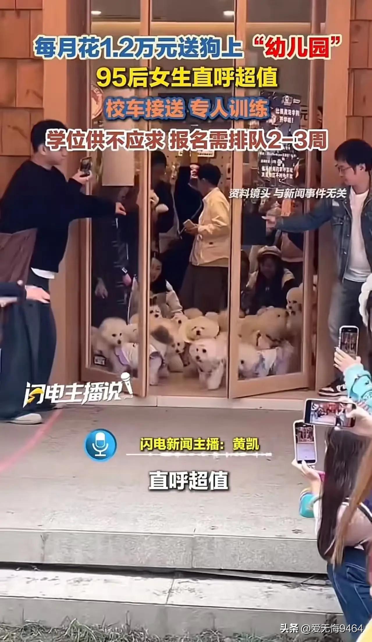 人不如狗实锤了！上海95后女生每月砸1.2万送狗上‘贵族幼儿园’，还得排队抢名额