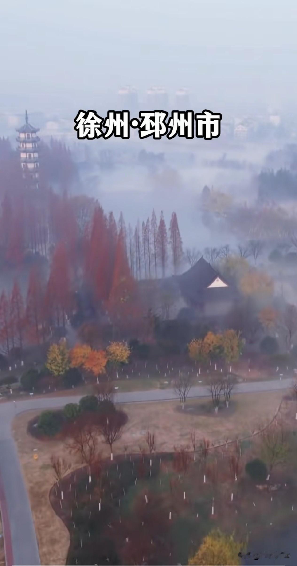 能否分享一张秋景中树叶的照片呢?这是一个小地方的秋景[赞]
