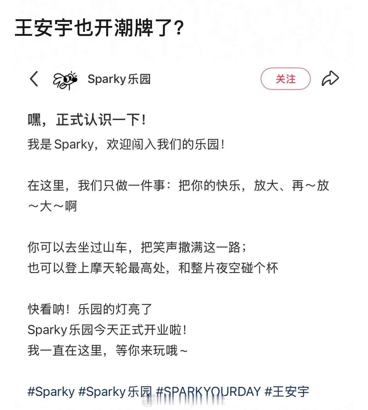王安宇貌似也要开潮牌了，这批95生不是主理人就是跨界歌手，人均商业奇才