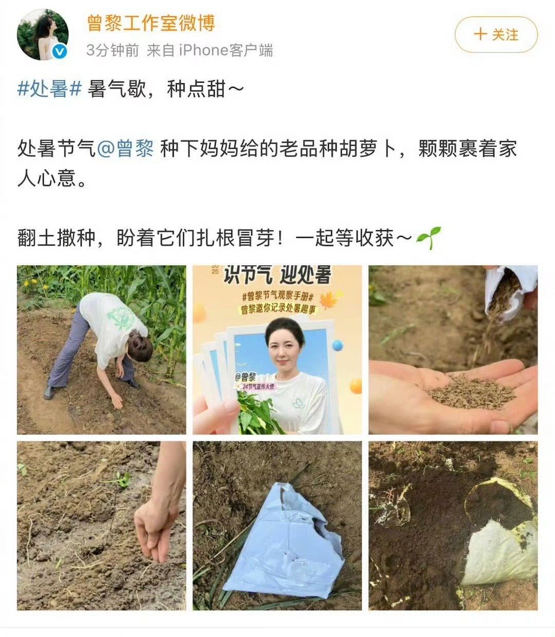 曾黎用妈妈给的种子种胡萝卜 很喜欢曾黎每次节气的仪式感，一直都会真诚认真分享最近