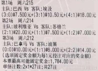 贪总足球：2串：212+215212 国际赛 巴拿马vs波黑平 0-0 1-1 